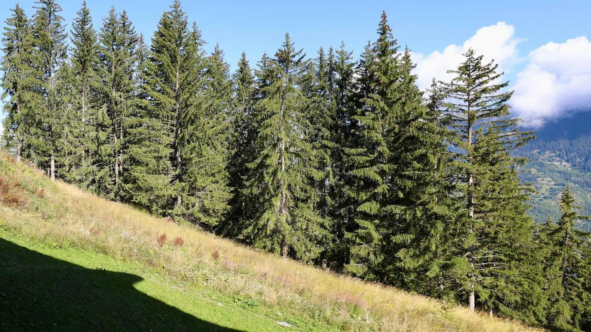 Apartment Charmant Appartement Renove A Courchevel Village - 4 Pers - 32 M² - Balcon, Casier A Skis Inclus - Fr-1-575-210